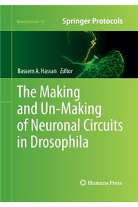 Making and Un-Making of Neuronal Circuits in Drosophila