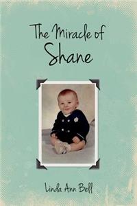 The Miracle of Shane