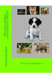 Die Geschichte vom kleinen Hund