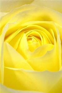 Yellow Rose Journal