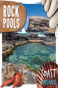 Rock Pools