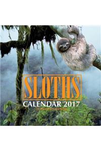 Sloths Calendar 2017