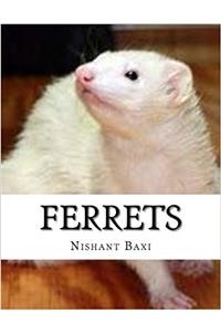 Ferrets