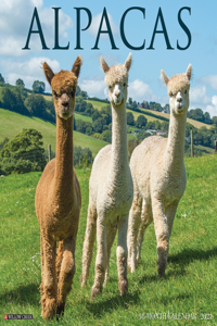 Alpacas 2021 Wall Calendar