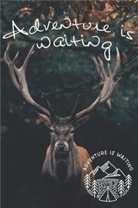 Adventure is waiting