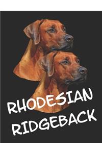 Rhodesian Ridgeback