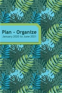 Plan - Organize - January 2020 to June 2021
