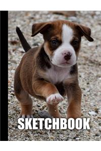 Sketchbook