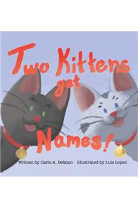 Two Kittens Get Names