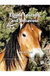 Equine Learning and Behaviour