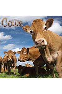 Cows Calendar 2018