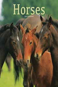 Horses 2018 Wiro 2018 W (Square)