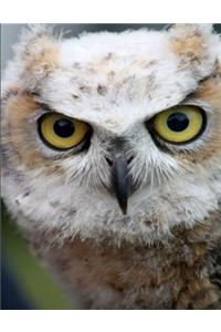 Owl Composition Book