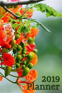 2019 Planner Vol. 12