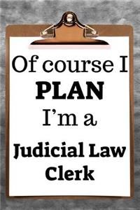 Of Course I Plan I'm a Judicial Law Clerk