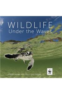 Wildlife Under the Waves