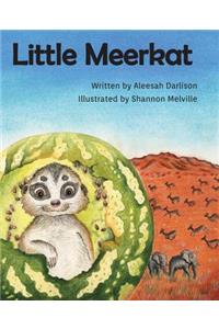 Little Meerkat