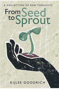 From Seed to Sprout