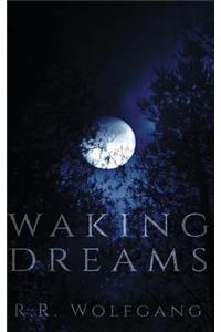 Waking Dreams