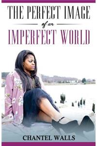 Perfect Image of an Imperfect World