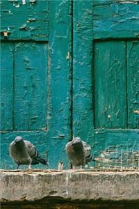 Pigeons by a Rustic Turquoise Door