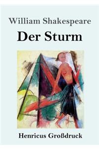 Sturm (Großdruck)