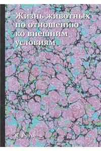 Жизнь животных по отношению ко внешним у
