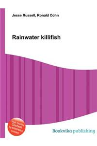 Rainwater Killifish