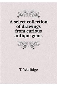 A select collection of drawings from curious antique gems