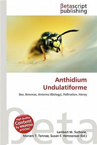 Anthidium Undulatiforme