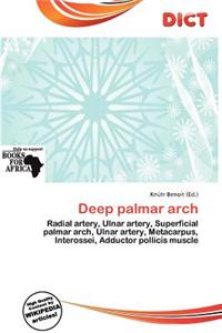 Deep Palmar Arch