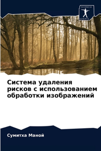 Система удаления рисков с использование