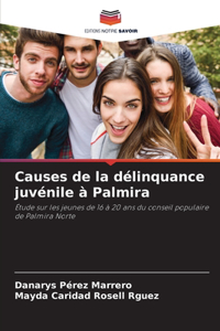 Causes de la délinquance juvénile à Palmira