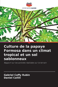 Culture de la papaye Formosa dans un climat tropical et un sol sablonneux