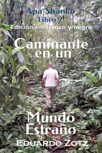 Caminante en un Mundo Estraño