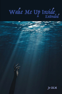 Wake Me Up Inside (Extended Version)