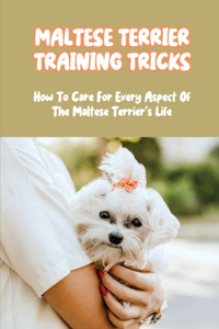 Maltese Terrier Training Tricks