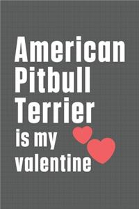 American Pitbull Terrier is my valentine