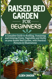 Raised Bed Garden for Beginners