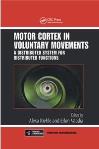 Motor Cortex in Voluntary Movements