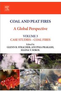 Coal and Peat Fires: A Global Perspective: Volume 3: Case Studies - Coal Fires