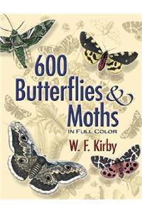 600 Butterflies & Moths in Full Color