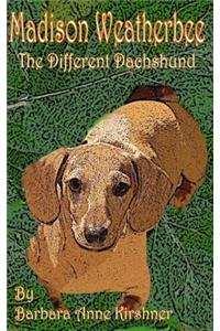 Madison Weatherbee- The Different Dachshund