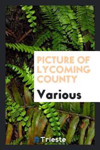Picture of Lycoming County