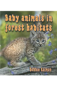 Baby Animals in Forest Habitats