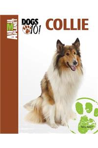 Collie