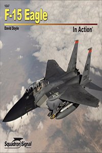 F-15 Eagle in Action Op