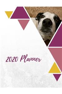 2020 Planner