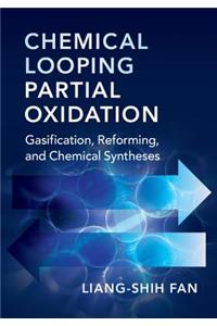 Chemical Looping Partial Oxidation