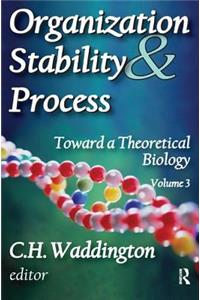 Organization Stability and Process